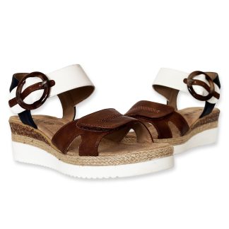 M346 - Brown